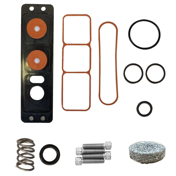 Trident Air Primer Parts -  Rebuild Kit (Seals, Mesh Filter, Spring Valve Plate, Fasteners) - 27.003.3